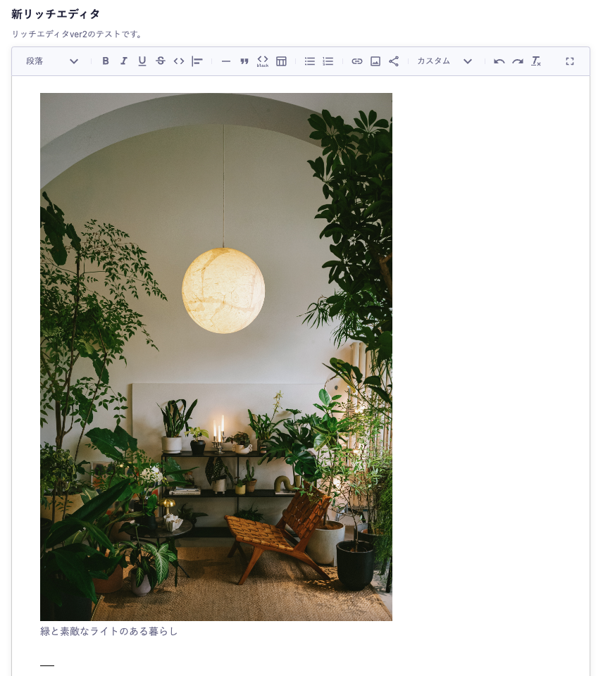 リッチエディタに挿入された画像のスクショ。キャプションが設定されている