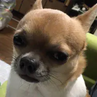 植田博樹