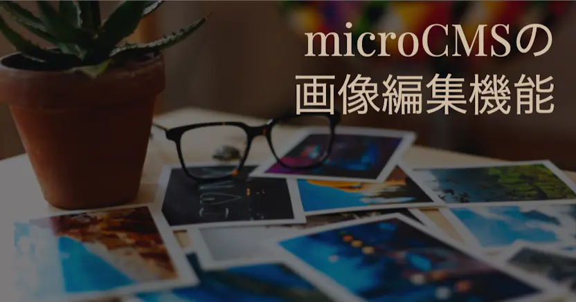 microCMSの画像編集機能