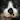 宇都宮気伸
